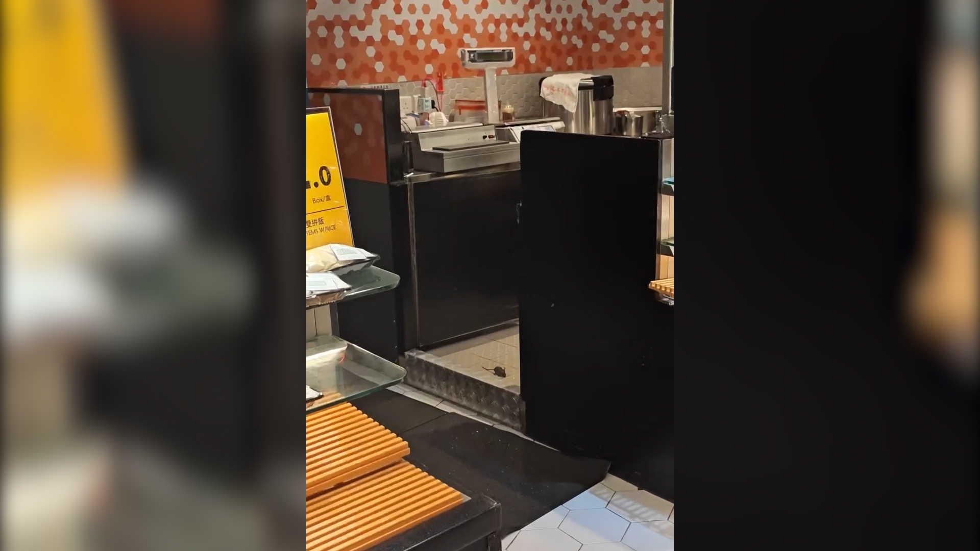 東張西望報料｜又一城超市燒味部驚現老鼠當眾遊走　市民震驚：至少4隻