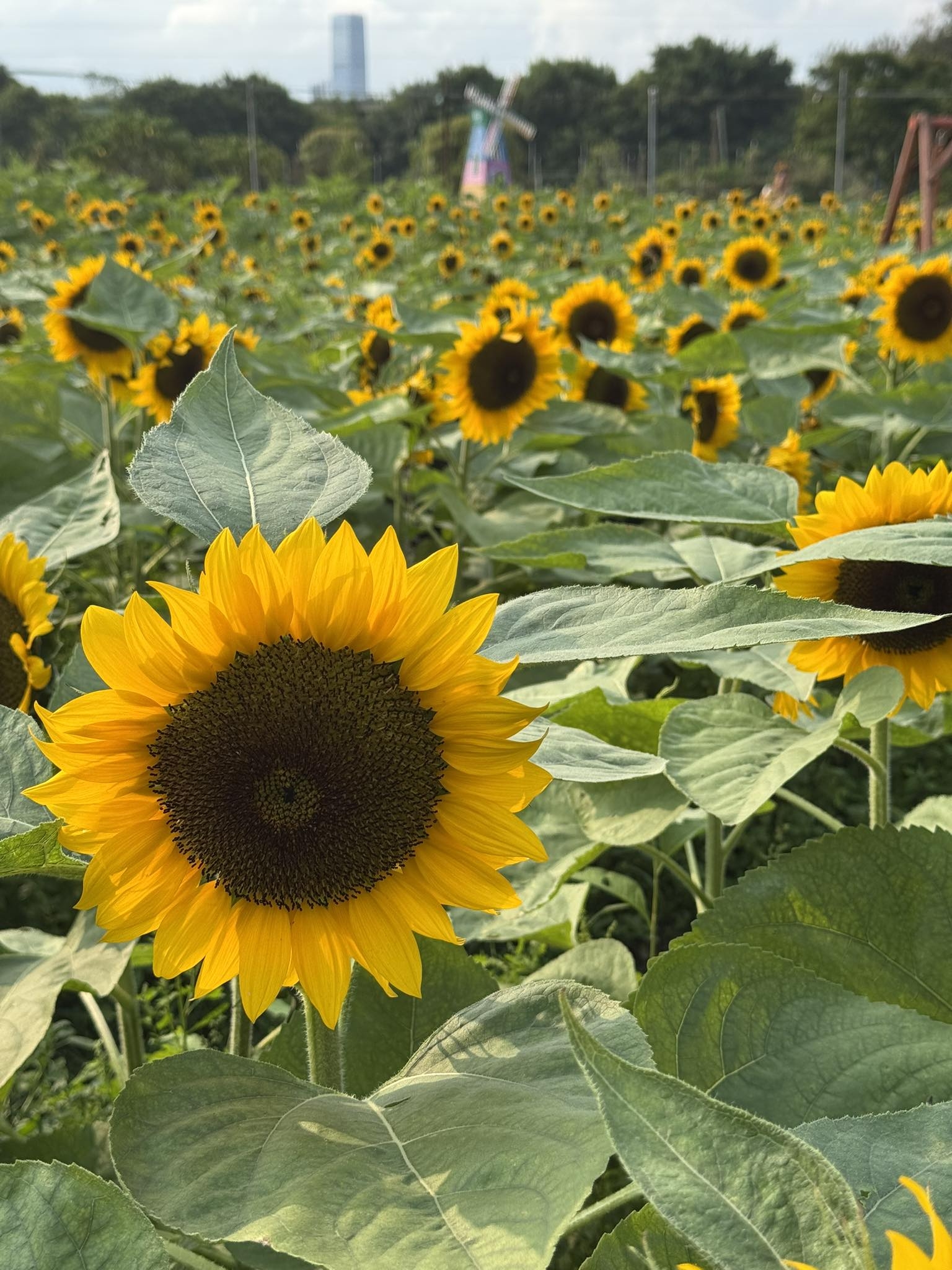 No photo description available.