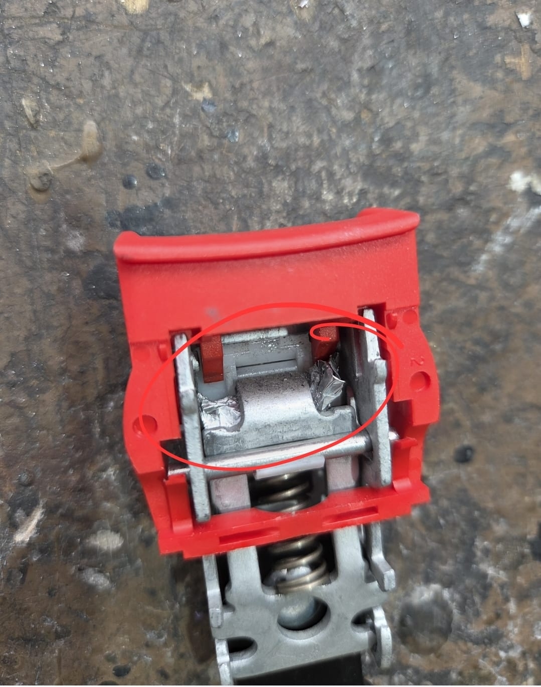 (相片由城巴提供)