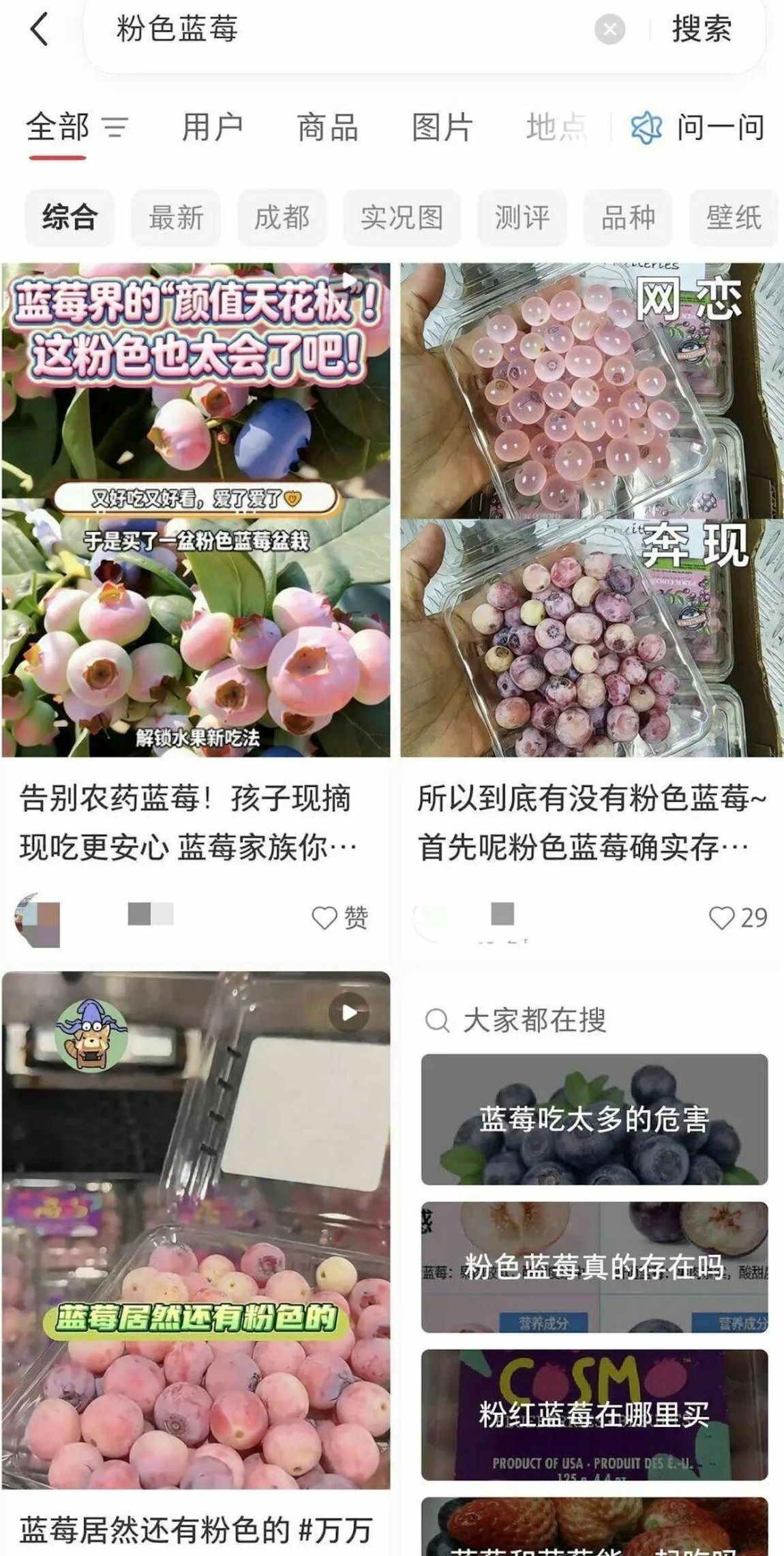 內地「粉色藍莓」掀熱潮每公斤賣800元　專家：花青素沒有高過普通藍莓5倍