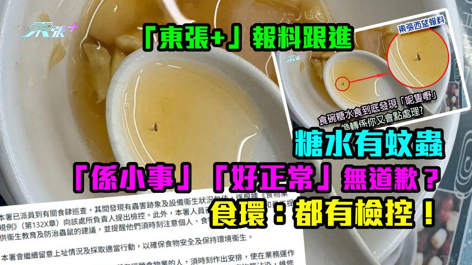 「東張+」報料跟進｜糖水有蚊蟲「係小事」「好正常」無道歉？ 食環：都有檢控！