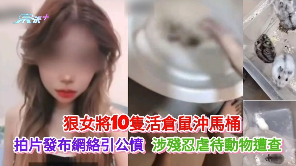 狠女將10隻活倉鼠沖馬桶 拍片發布網絡引公憤遭拘查