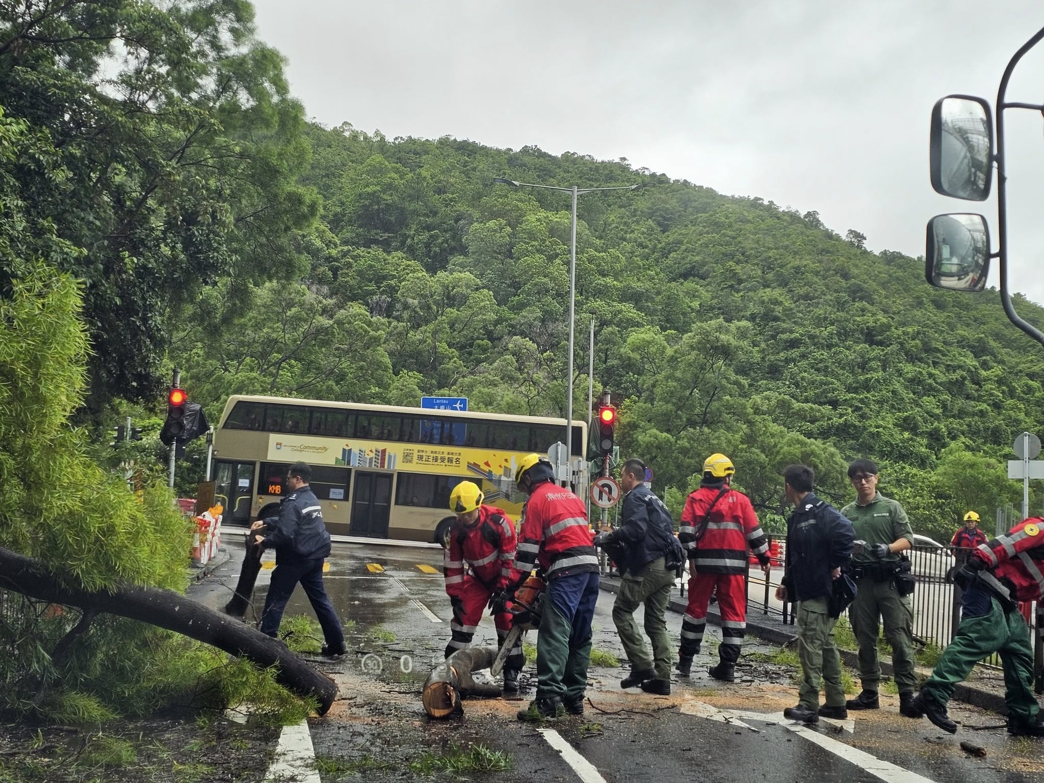 打風．颱風塔巴｜青衣塌樹要消防開路