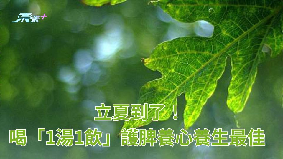 立夏到了！喝「1湯1飲」護脾養心養生最佳 