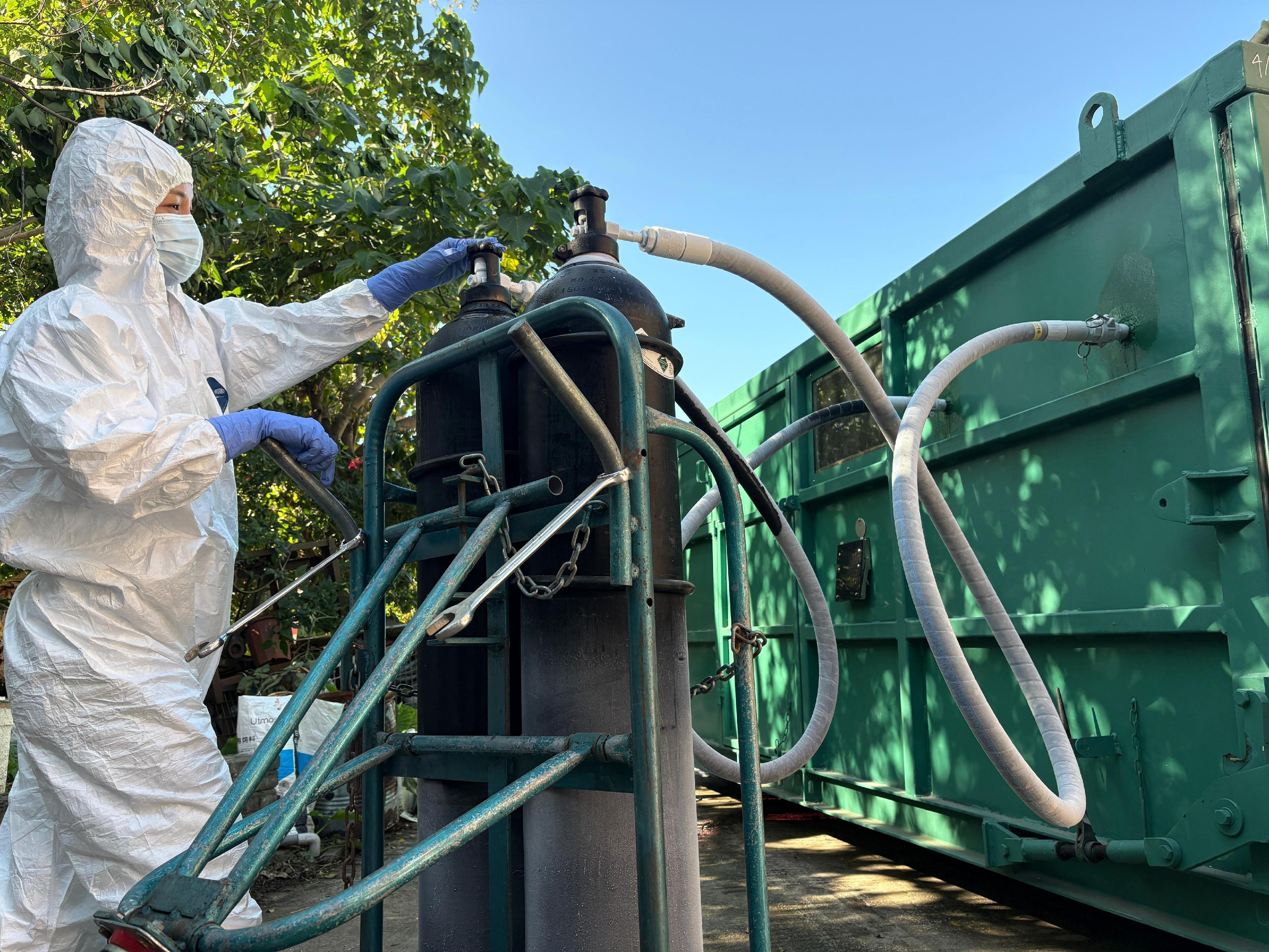 圖示漁護署人員操作二氧化碳氣室進行銷毀豬隻行動。（漁護署圖片）