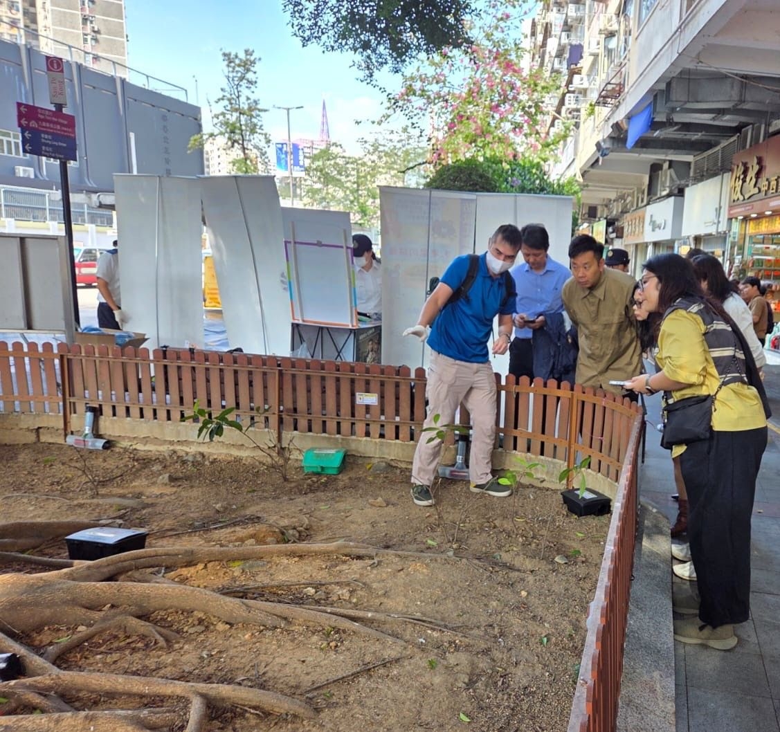 食環署最新回應：已放置多種滅鼠裝置