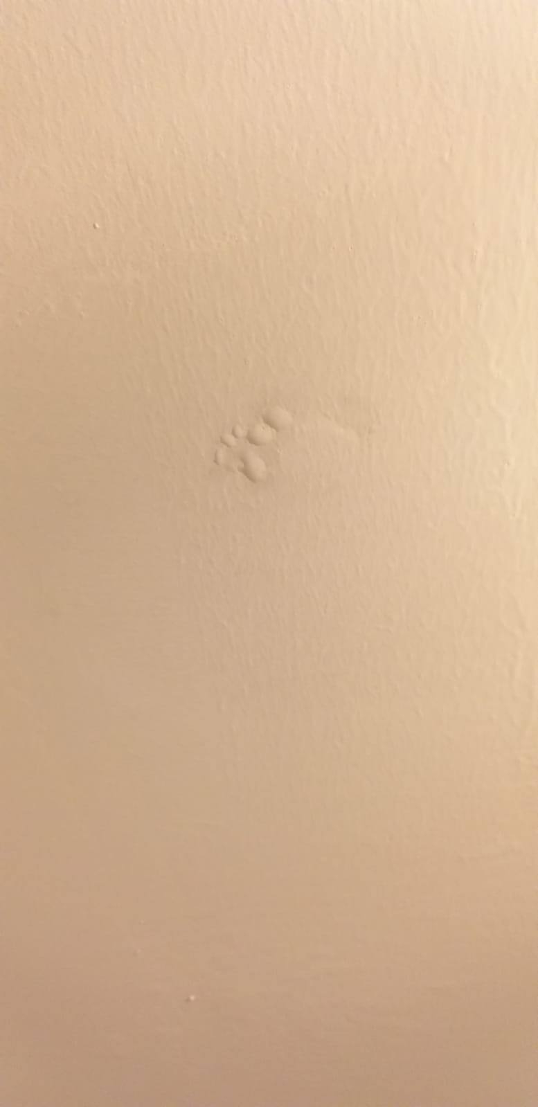 No photo description available.