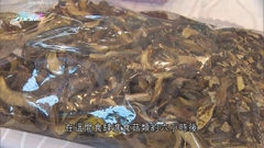 五人昨晚樂富一間酒家進食牛肝菌後疑食物中毒