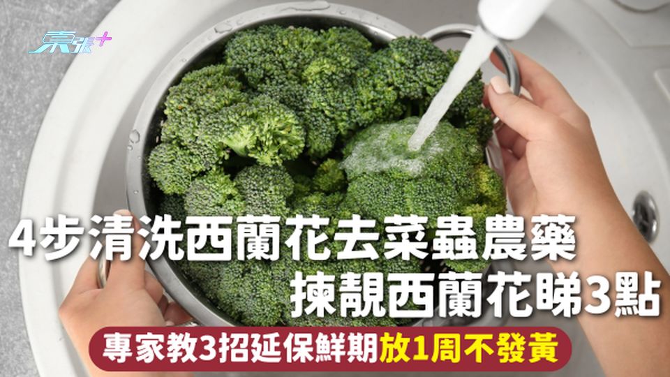 西蘭花 | 4步清洗去菜蟲農藥 揀靚西蘭花睇3點 專家教3招延保鮮期放1周不發黃