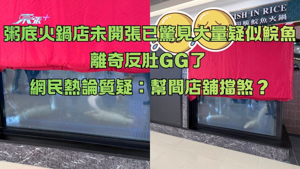 粥底火鍋店未開張已驚見大量疑似鯇魚離奇反肚GG了 網民熱論質疑：幫間店舖擋煞？