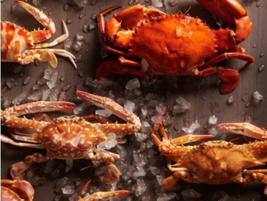 香港東涌世茂喜來登酒店 Sheraton Hong Kong Tung Chung Hotel｜嶼坊｜自助午餐．自助晚餐