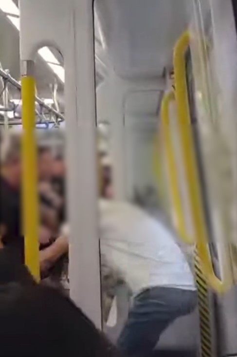 港鐵MMA｜東鐵綫列車變打交擂台，兩男互毆玩武術切磋，乘客勸阻。(IG@hong_kong_gossip_watch_group)