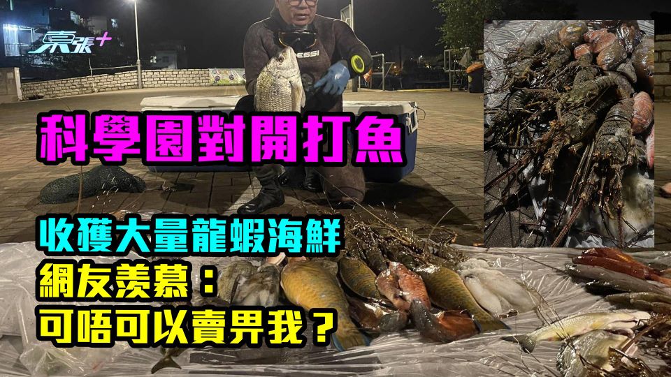 多圖｜科學園對開打魚　收獲大量龍蝦海鮮　網友羡慕：可唔可以賣畀我？