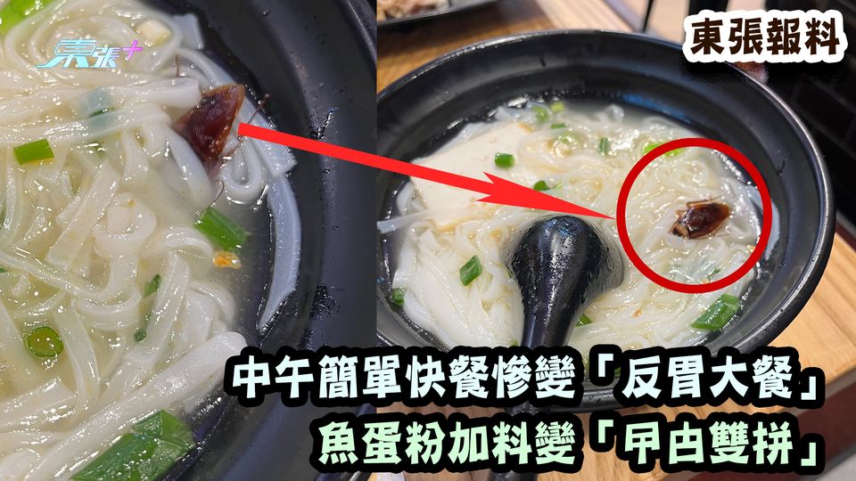 東張報料｜中午簡單快餐慘變「反胃大餐」 魚蛋粉加料變「曱甴雙拼」