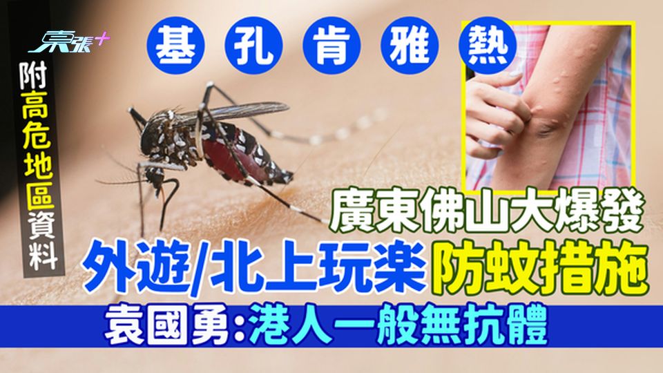 基孔肯雅熱｜廣東佛山爆3645宗案例 衛生署外遊/北上玩樂防蚊措施/高危地區 袁國勇港人一般無抗體
