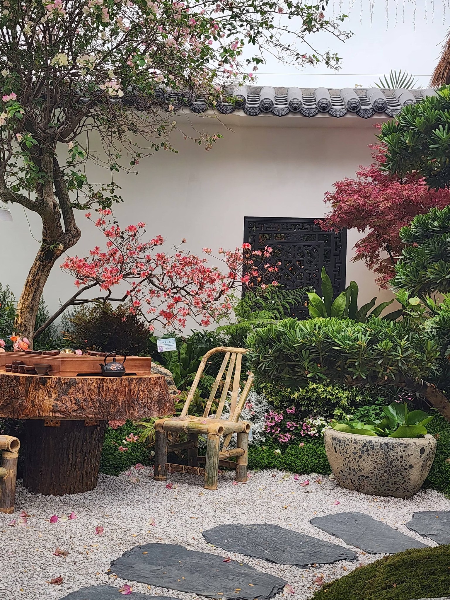 可能是核果樹的圖像