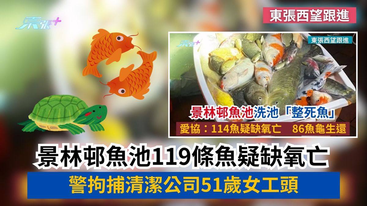 东张西望跟进｜景林邨鱼池119条鱼疑缺氧亡　警拘捕清洁公司51岁女工头
