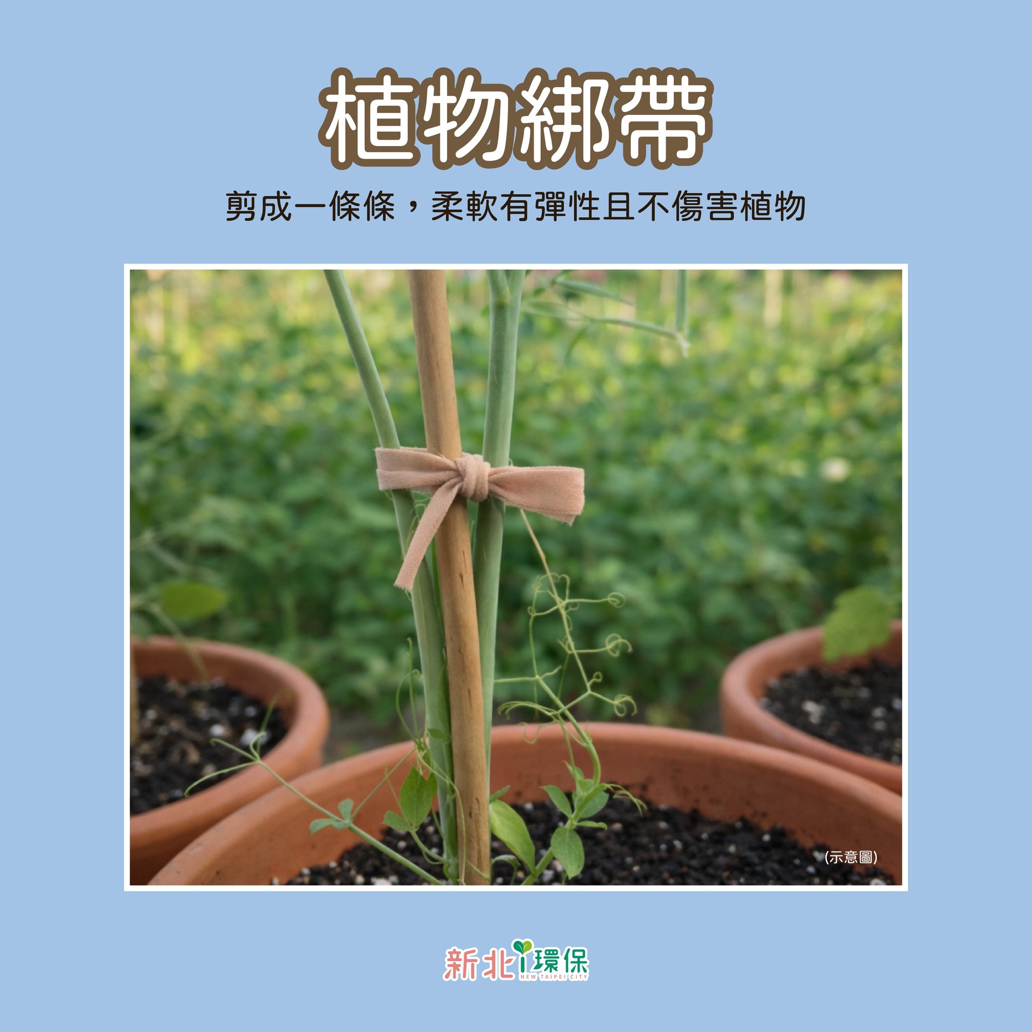 May be an image of text that says '植物綁帶 剪成一條條，柔敵有彈性且不傷害植物 剪成一條條， ，柔軟有彈性且不傷害植物 （示意 E) 新北環保'