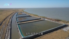 吉林嫩江有村民以泡塘養殖螃蟹 創致富路並改良土壤