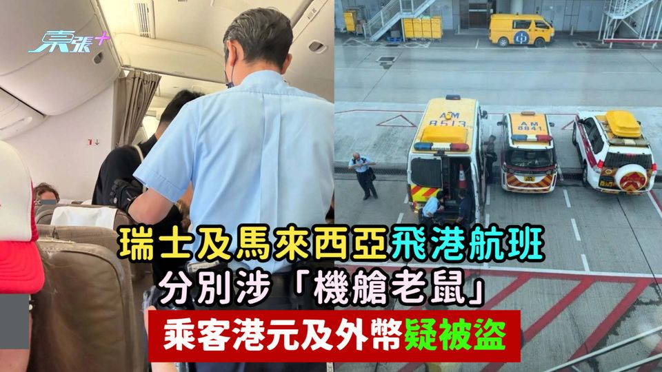 瑞士及馬來西亞飛港航班分別涉「機艙老鼠」 乘客港元及外幣疑被盜