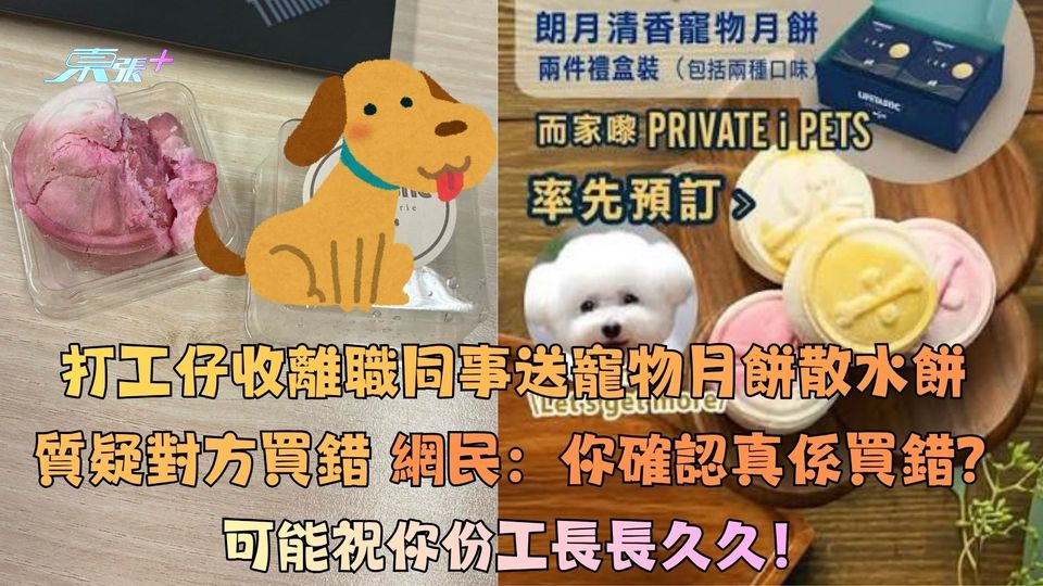 打工仔收離職同事送寵物月餅散水餅質疑對方買錯  網民：你確認真買錯？可能祝你份工長長久久！
