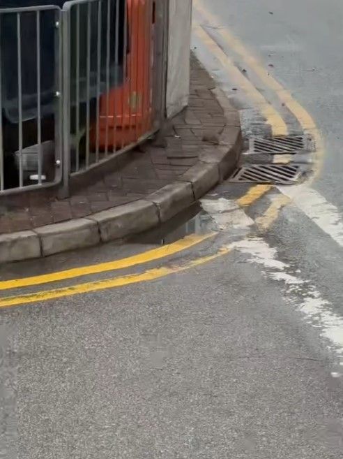 大埔街頭驚變「迪士尼樂園」嚇怕街坊