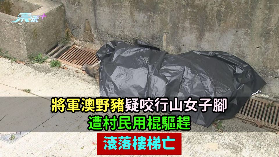 將軍澳野豬疑咬女子腳  遭村民用棍驅趕滾落樓梯亡