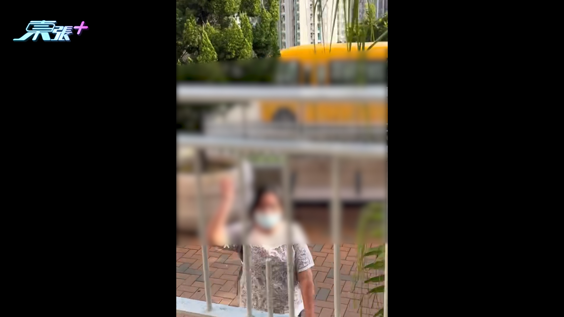 九巴車廂阿婆太嘈被勸靜音　疑不滿下車後怒向學生擲石　後續反擊引熱議