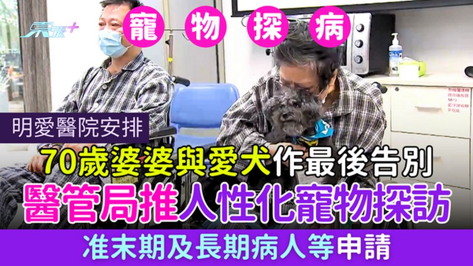 明愛醫院安排70歲婆婆與愛犬作最後告別 醫管局推人性化寵物探訪 准末期及長期病人等申請