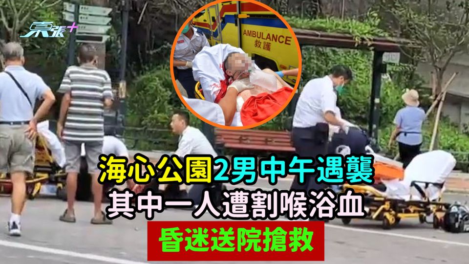 海心公園2男中午遇襲  其中一人遭割喉浴血昏迷送院搶救