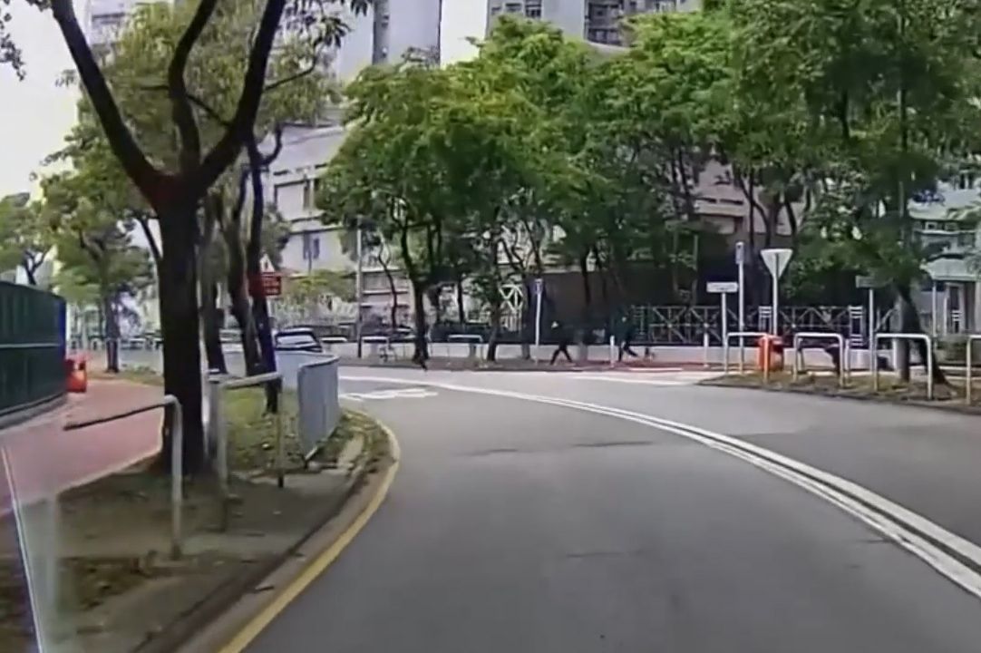 香港男子違規過馬路跨欄，慘變「另類炒車」過程全拍下。(影片截圖)