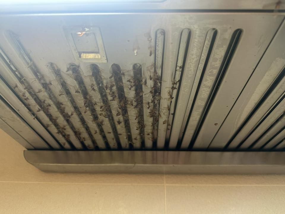 May be an image of range hood
