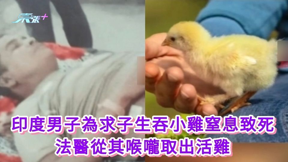 印度男子為求子生吞小雞窒息致死 法醫從其喉嚨取出活雞