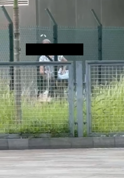 東張西望報料｜宋皇臺公園婆婆大玩「仙女散花」，麵包碎撒地下影響衛生。(讀者報料／影片截圖)