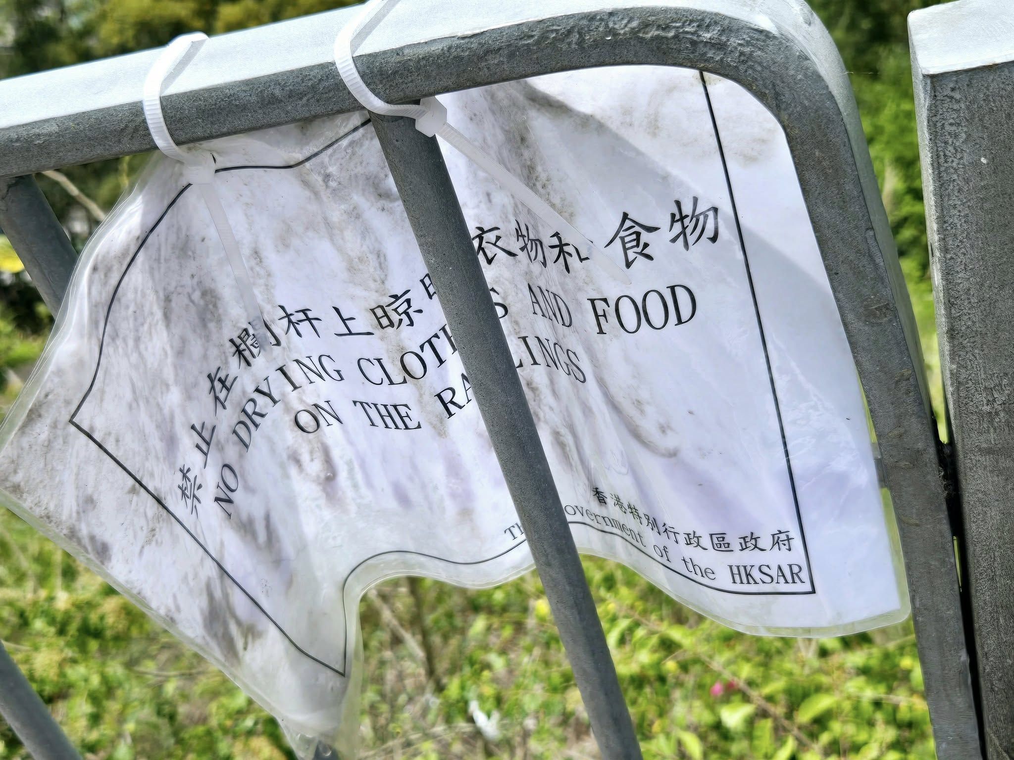 May be an image of text