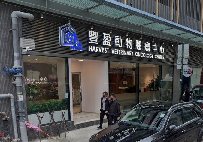 葵涌一間獸醫診所揭發一宗虐待動物案。(Googlemap)