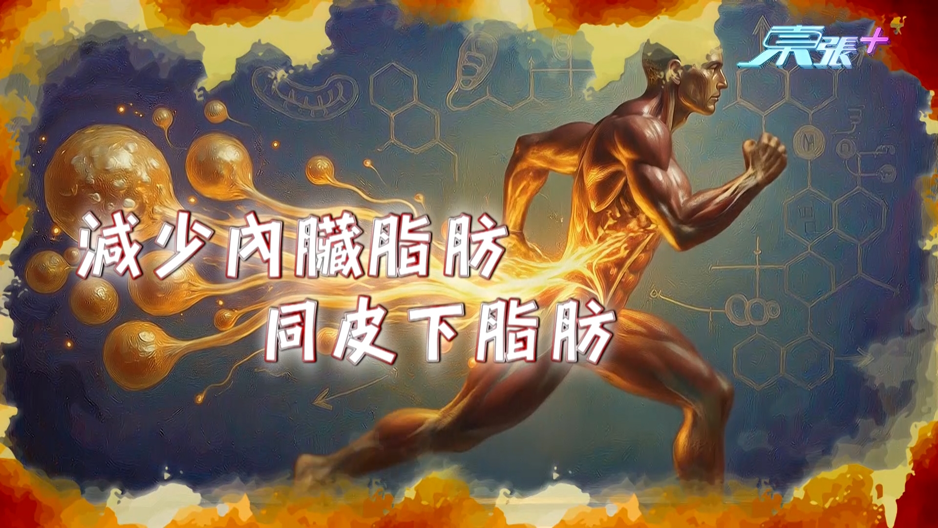 藥劑師指出，益生菌再配合由植物提取的成分「玫瑰果多酚」，可以產生協同效應，進一步提升身體消脂本能及新陳代謝