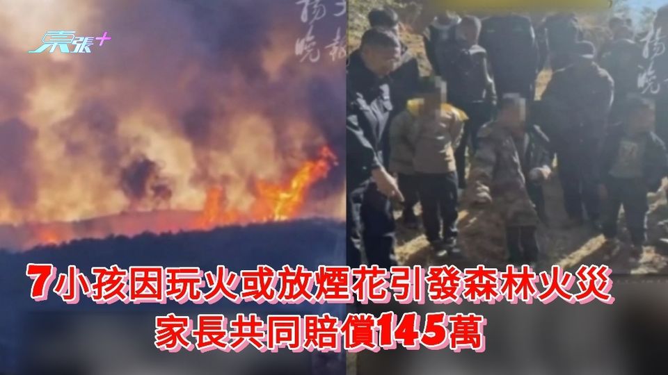 7小孩因玩火或放煙花引發森林火災 家長共同賠償145萬