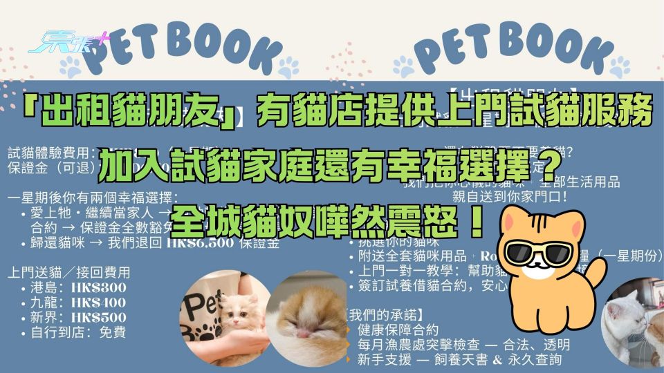 「出租貓朋友」有貓店提供上門試貓服務 加入試貓家庭還有幸福選擇？全城貓奴嘩然震怒！