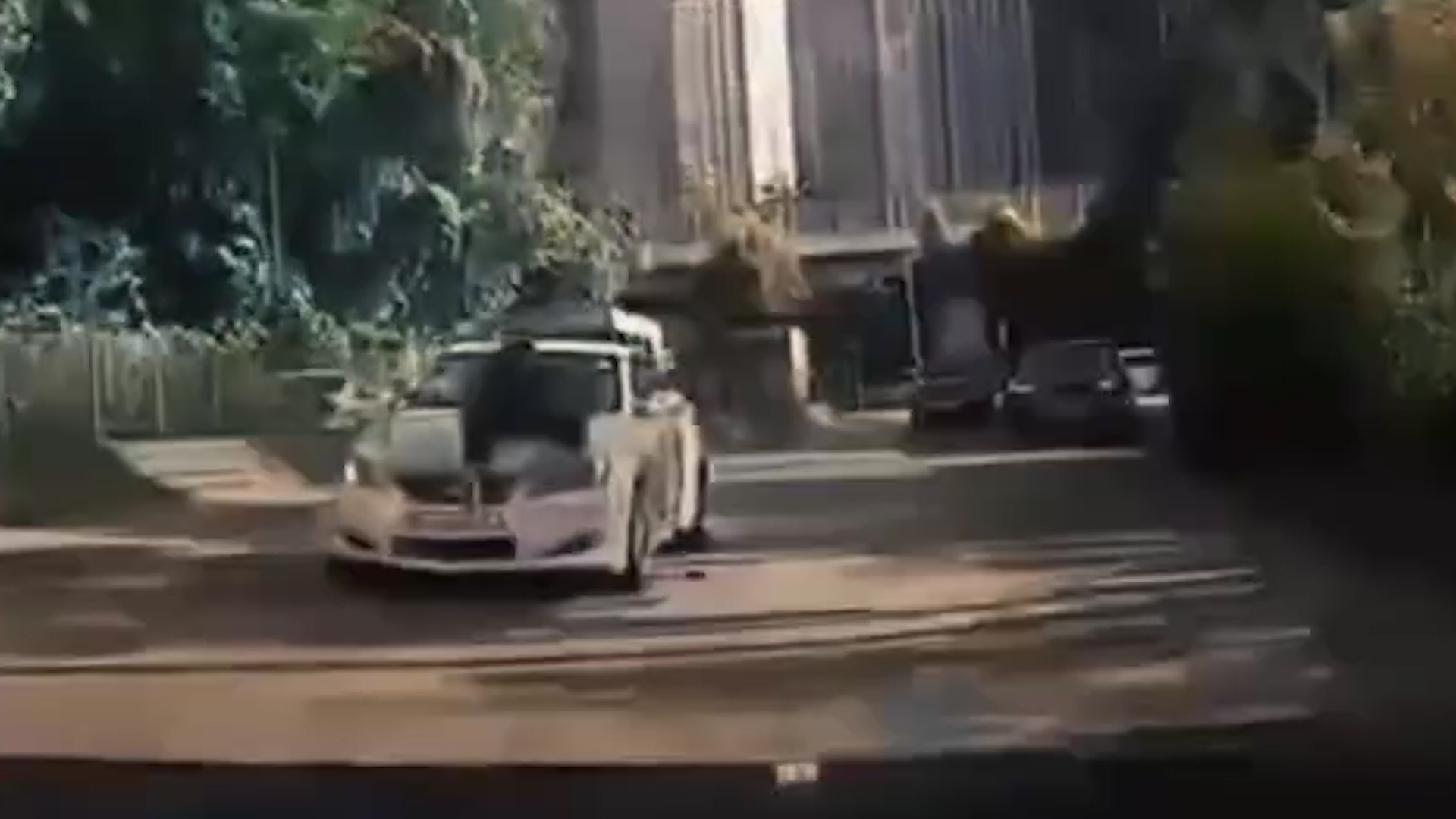 車Cam直擊｜粉錦公路黑衣人伏車頭擋玻璃　私家車狂飆如「狂野時速」