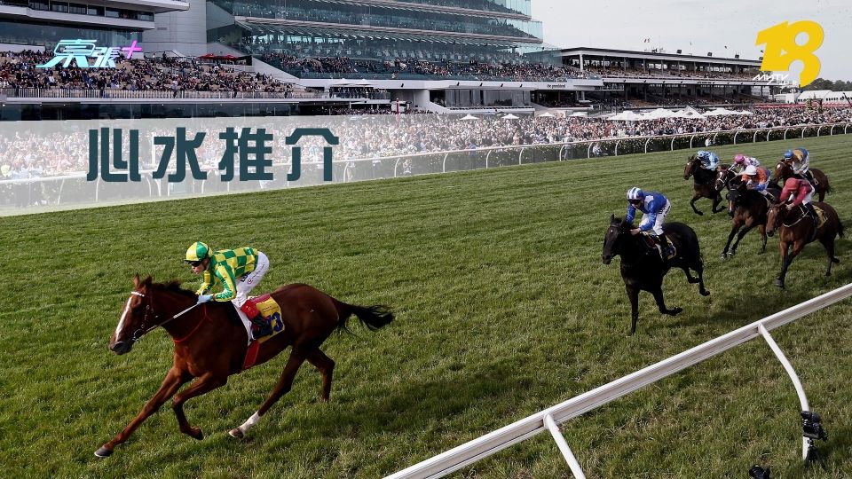 11月26日 日賽 名家心水