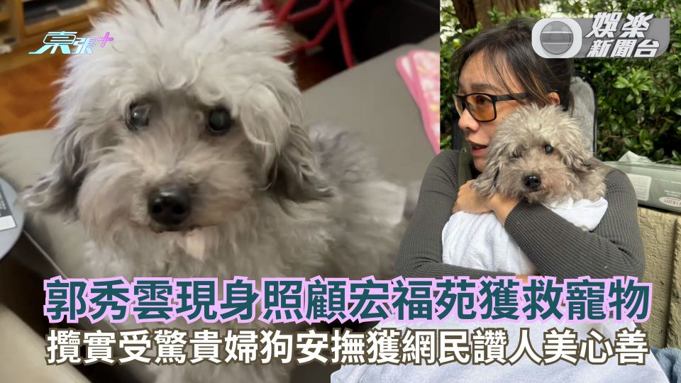 大埔宏福苑五級火｜郭秀雲現身照顧宏福苑獲救寵物 攬實受驚貴婦狗安撫獲網民讚人美心善