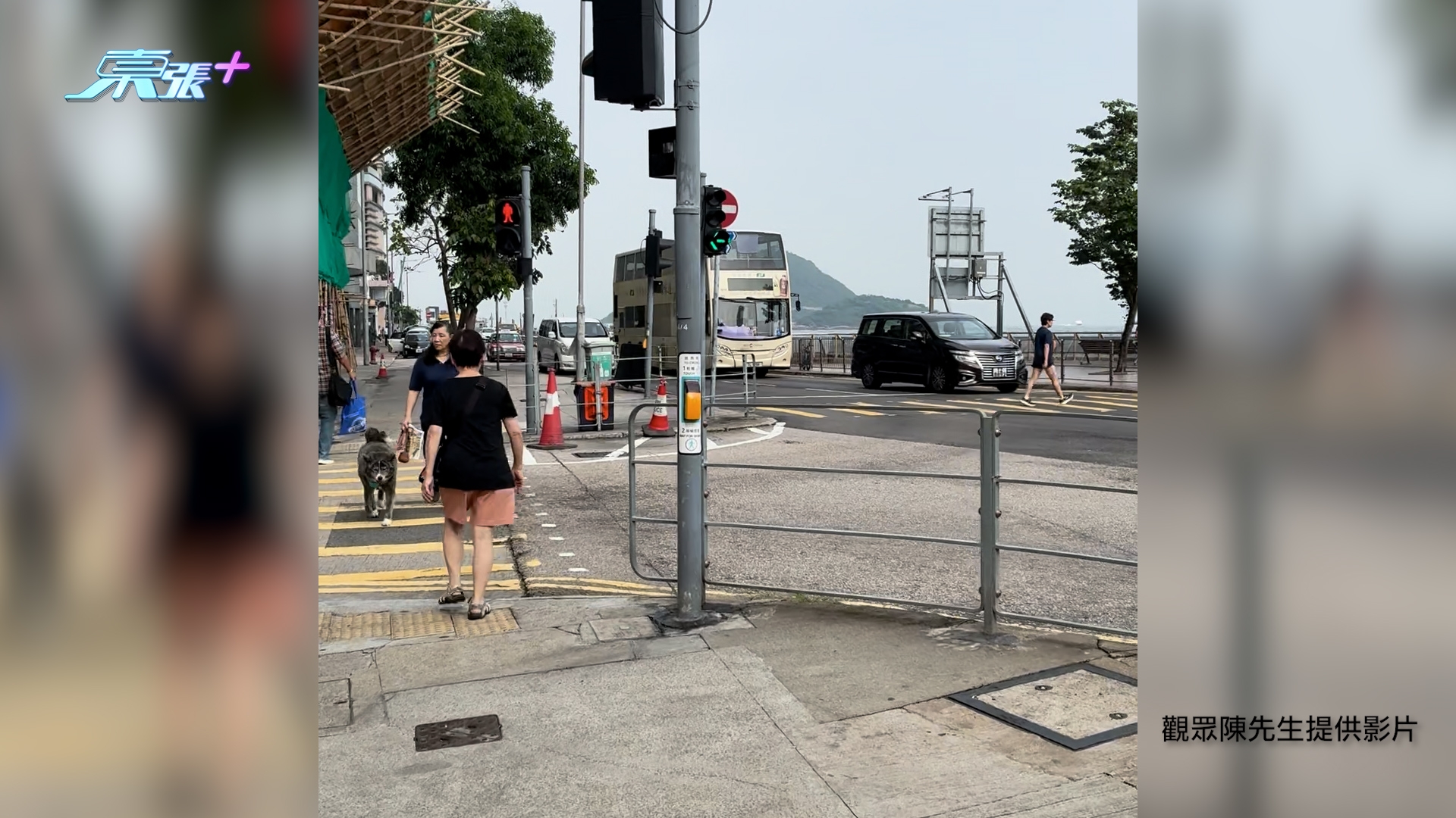 東張西望報料｜堅尼地城過路燈要等兩次先轉綠　遊客亂衝馬路惹街坊不滿：影響香港旅遊形象 （觀眾陳先生提供影片）
