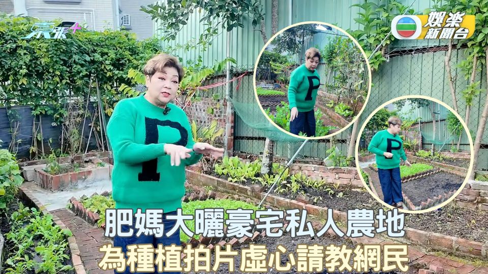 肥媽大曬豪宅私人農地 為種植拍片虛心請教網民