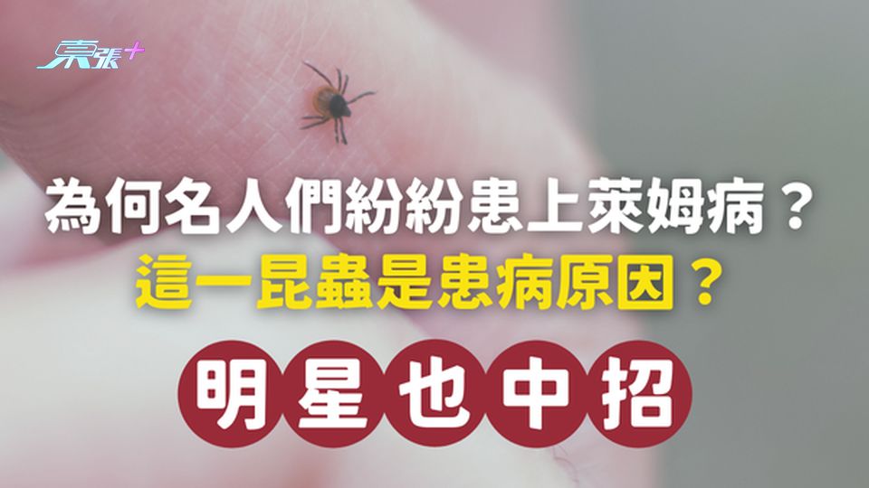 明星也中招｜為何名人們紛紛患上萊姆病？這一昆蟲是患病原因？#至識健康