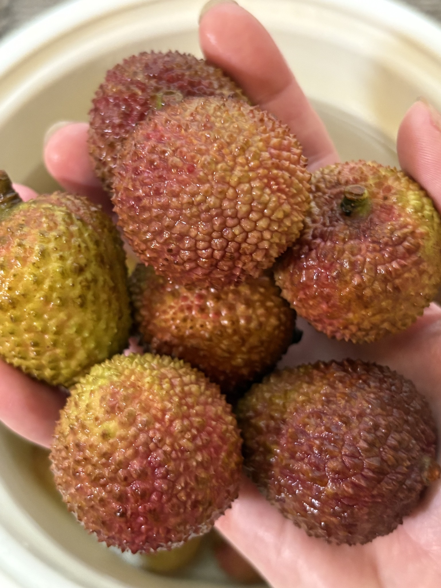 May be an image of longan