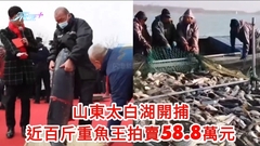 山東太白湖開捕 近百斤重魚王拍賣58.8萬元