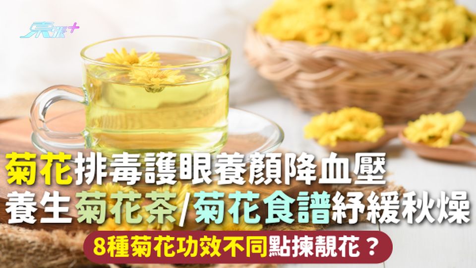 菊花 | 排毒護眼養顏降血壓 養生菊花茶/菊花食譜紓緩秋燥 8種菊花功效不同點揀靚花？