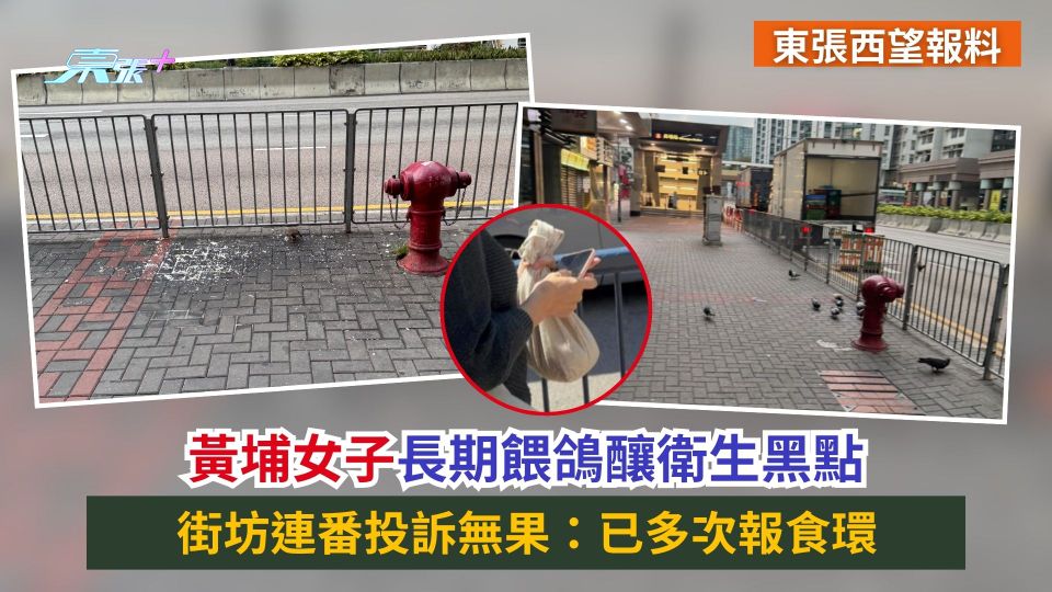 東張西望報料｜黃埔女子長期餵鴿釀衛生黑點　街坊連番投訴無果：已多次報食環