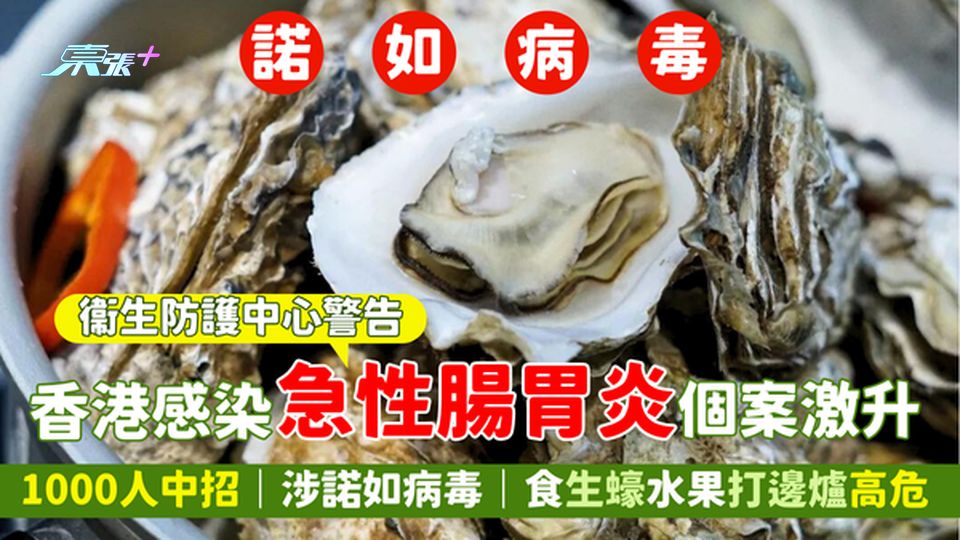 諾如病毒｜衛生防護中心：香港感染急性腸胃炎個案激升 1000人中招｜涉諾如病毒｜食生蠔水果打邊爐高危